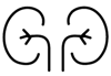 kidneys
